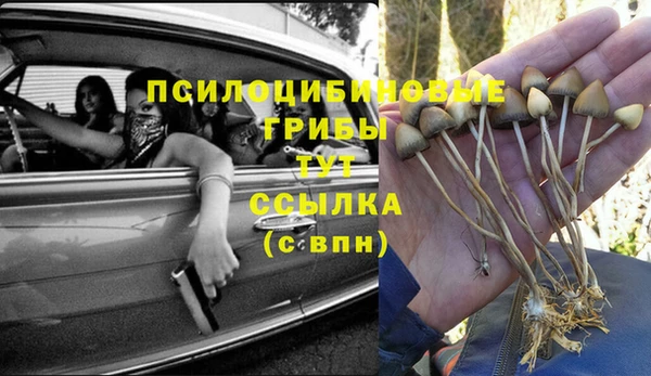 Альфа ПВП Алексин
