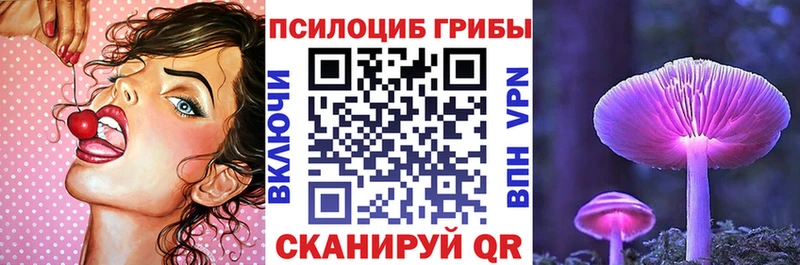 где продают   Суздаль  KRAKEN ссылка  Галлюциногенные грибы Psilocybe 