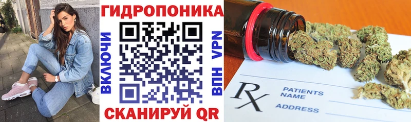 Канабис семена  Суздаль 